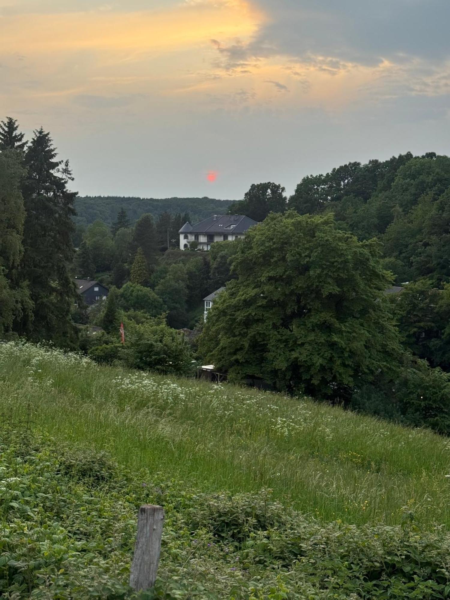 Проживание в семье Waldberg